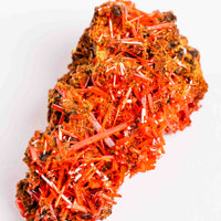 Crocoite- Cluster