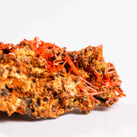 Crocoite- Cluster