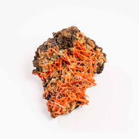 Crocoite- Cluster