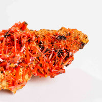 Crocoite- Cluster