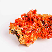 Crocoite- Cluster