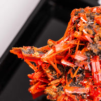 Crocoite- Cluster