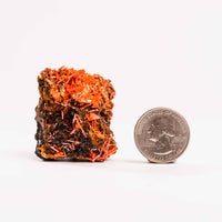 Crocoite- Cluster