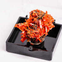 Crocoite- Cluster
