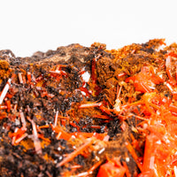 Crocoite- Cluster