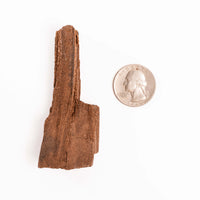 German Fairy Wood - Rough