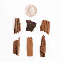 German Fairy Wood - Rough, Intuitive Pick