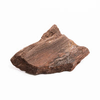 German Fairy Wood - Rough