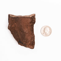 German Fairy Wood - Rough