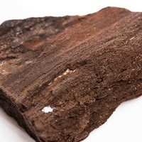 German Fairy Wood - Rough