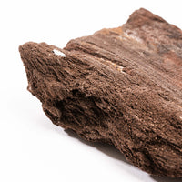 German Fairy Wood - Rough