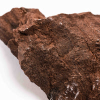 German Fairy Wood - Rough