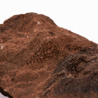 German Fairy Wood - Rough