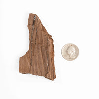 German Fairy Wood - Rough