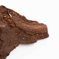 German Fairy Wood - Rough