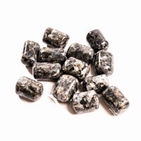 Larvikite - Tumbled, Intuitive Pick