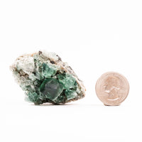 Fluorite, Green/Blue - Day Fluorescent