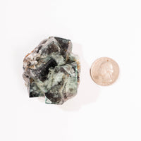 Fluorite, Green/Blue - Day Fluorescent