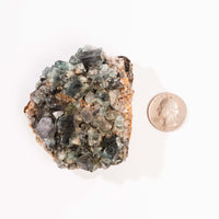 Fluorite, Green/Blue - Day Fluorescent