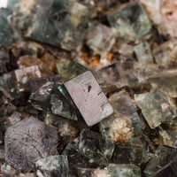 Fluorite, Green/Blue - Day Fluorescent