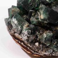 Fluorite, Green/Blue - Day Fluorescent