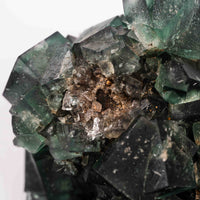 Fluorite, Green/Blue - Day Fluorescent