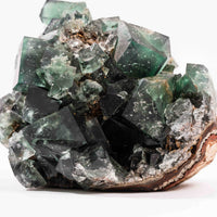 Fluorite, Green/Blue - Day Fluorescent