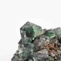 Fluorite, Green/Blue - Day Fluorescent