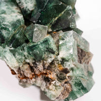 Fluorite, Green/Blue - Day Fluorescent