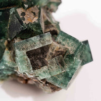 Fluorite, Green/Blue - Day Fluorescent