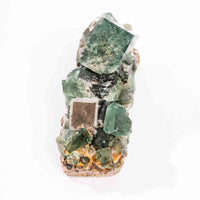 Fluorite, Green/Blue - Day Fluorescent