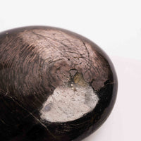 Hypersthene - Palm