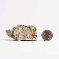 Kinoite