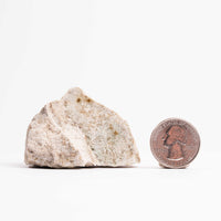 Kinoite