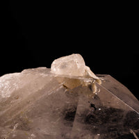 Quartz, Manifestor- Point