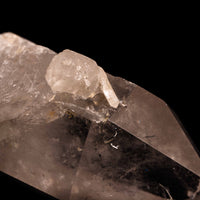 Quartz, Manifestor- Point
