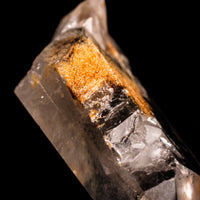 Quartz, Manifestor- Point