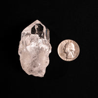 Quartz, Manifestor- Point