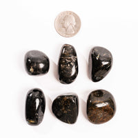 Nuummite - Tumbled, Intuitive Pick