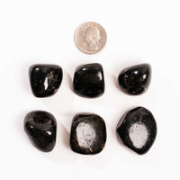 Nuummite - Tumbled, Intuitive Pick