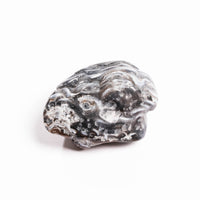 Agate, Enhydro