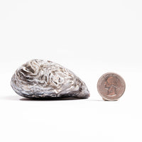 Agate, Enhydro