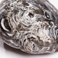 Agate, Enhydro