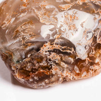 Agate, Enhydro