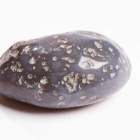 Agate, Enhydro
