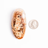 Agate, Enhydro