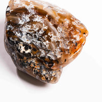 Agate, Enhydro
