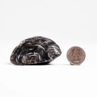 Agate, Enhydro