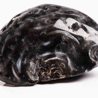 Agate, Enhydro