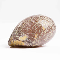 Agate, Enhydro